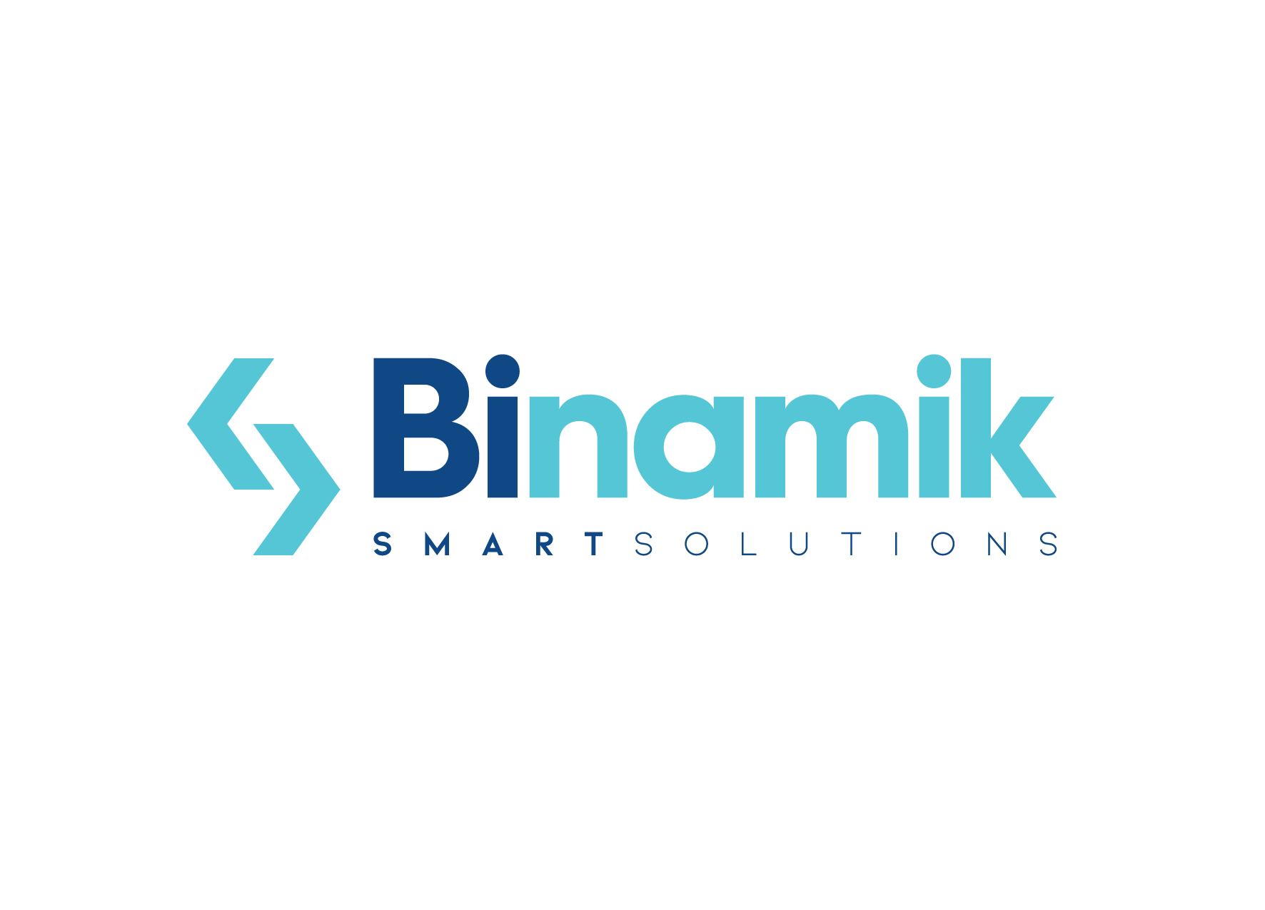 Binamik Logo